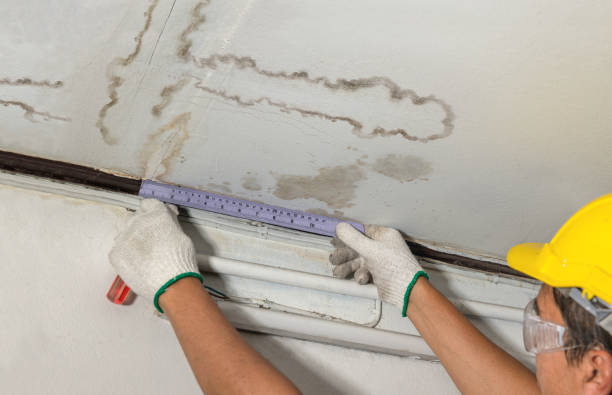 Reliable Water Damage contractor in Woodstock, VA by Water Damage Irwin
